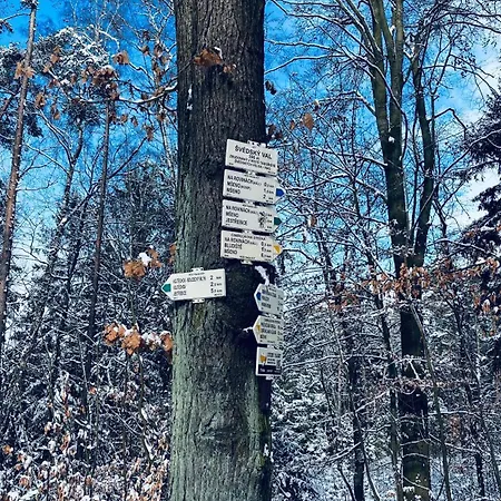 Lägenhet Cetnicka Stanice