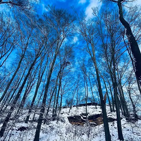 četnická Stanice Mšeno * Mseno