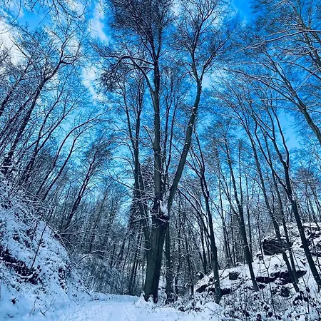 Cetnicka Stanice Lägenhet *