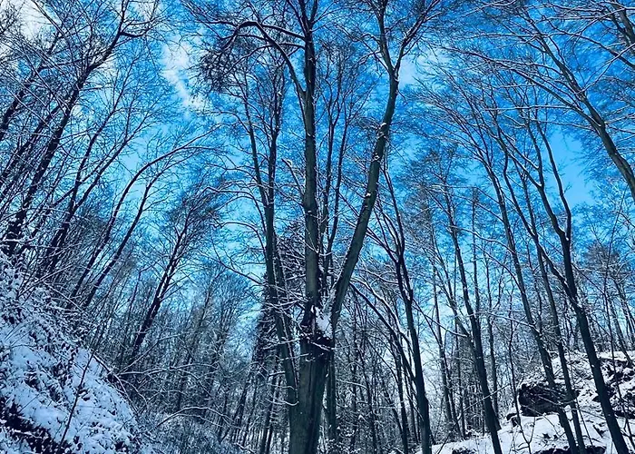 Cetnicka Stanice Apartment *